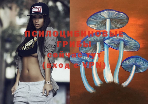кокс Алексеевка